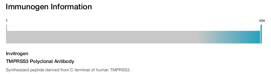 TMPRSS3 Polyclonal Antibody