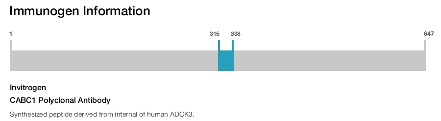 CABC1 Polyclonal Antibody