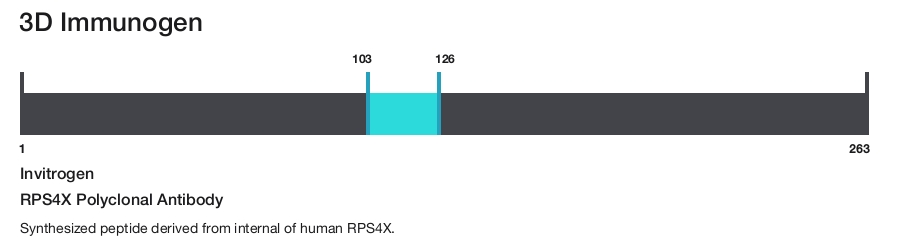 RPS4X Polyclonal Antibody