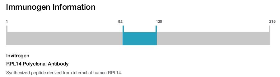 RPL14 Polyclonal Antibody