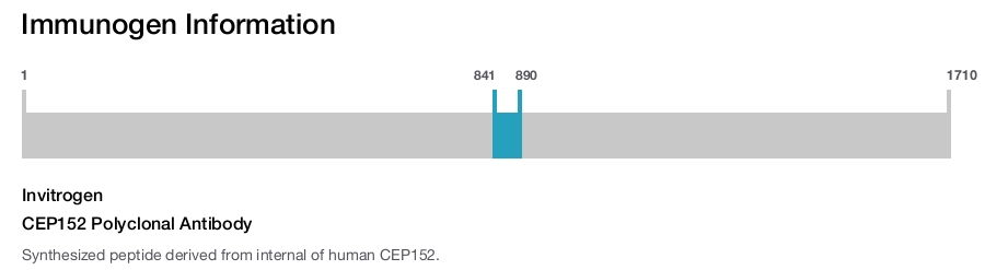 CEP152 Polyclonal Antibody