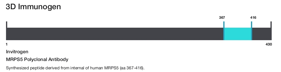MRPS5 Polyclonal Antibody