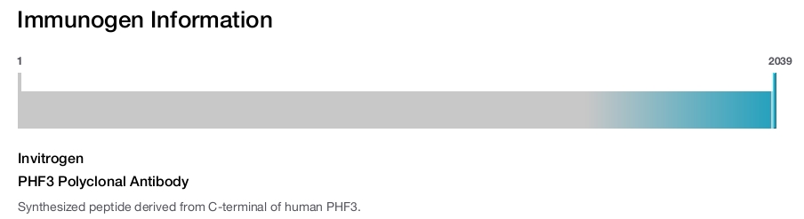 PHF3 Polyclonal Antibody