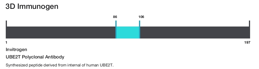 UBE2T Polyclonal Antibody