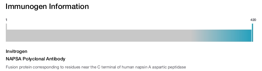 NAPSA Polyclonal Antibody