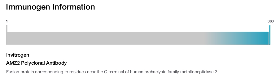 AMZ2 Polyclonal Antibody