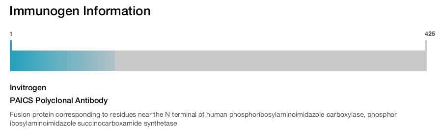 PAICS Polyclonal Antibody