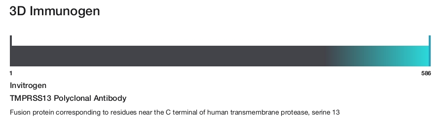 TMPRSS13 Polyclonal Antibody