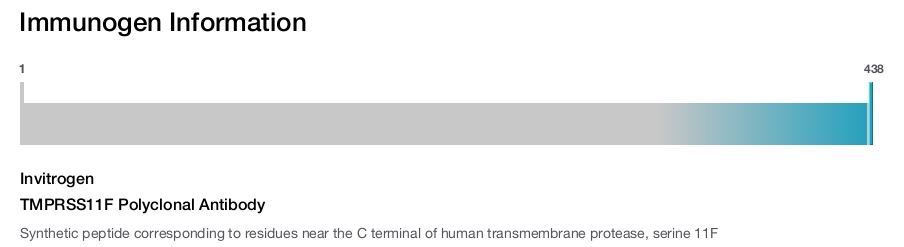 TMPRSS11F Polyclonal Antibody