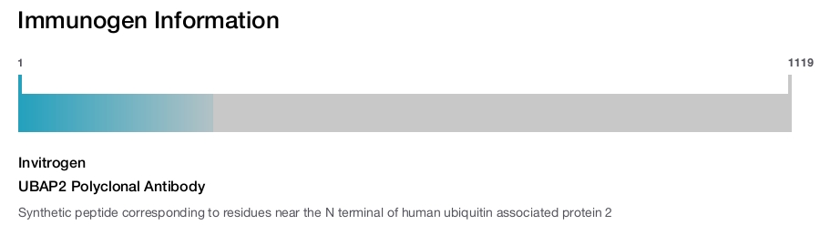 UBAP2 Polyclonal Antibody