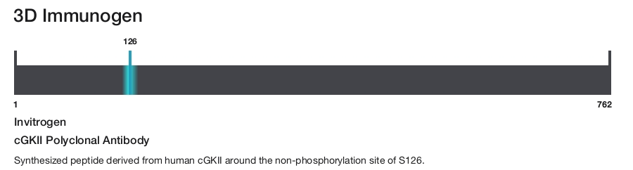 cGKII Polyclonal Antibody