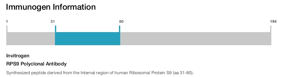 RPS9 Polyclonal Antibody