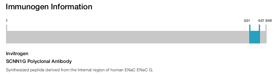 SCNN1G Polyclonal Antibody