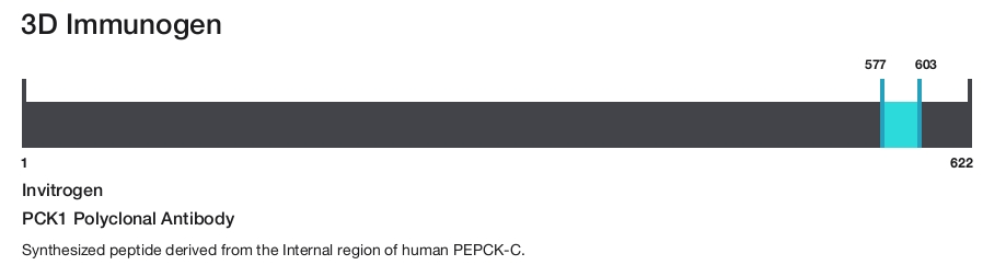 PCK1 Polyclonal Antibody