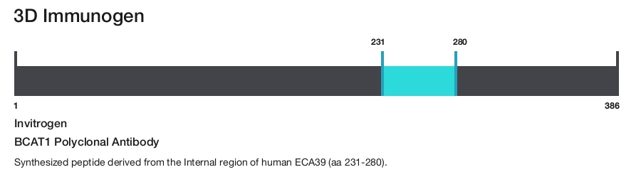 BCAT1 Polyclonal Antibody