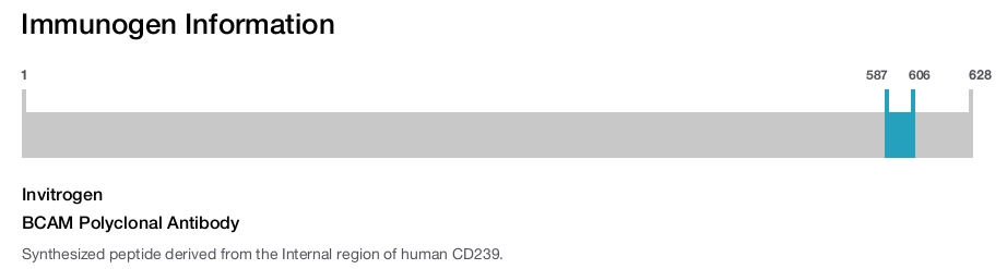 BCAM Polyclonal Antibody