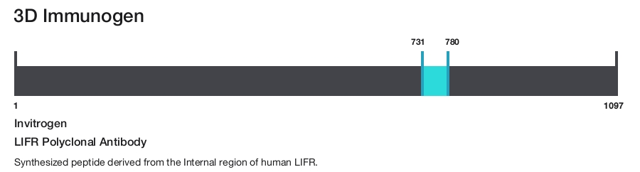 LIFR Polyclonal Antibody