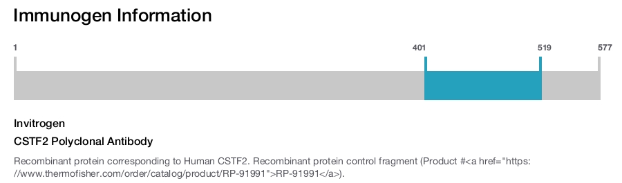 CSTF2 Polyclonal Antibody