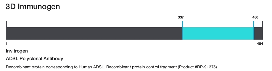 ADSL Polyclonal Antibody