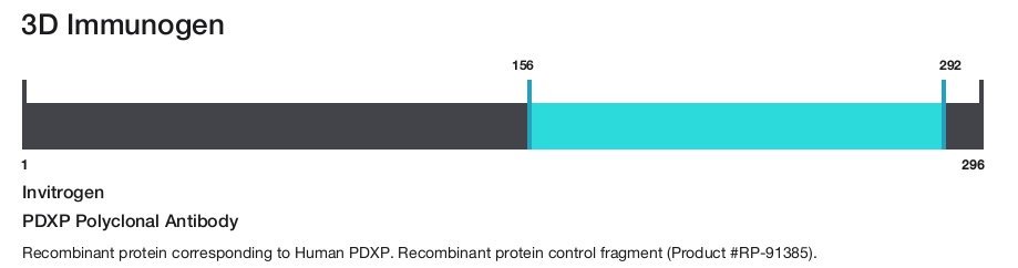 PDXP Polyclonal Antibody
