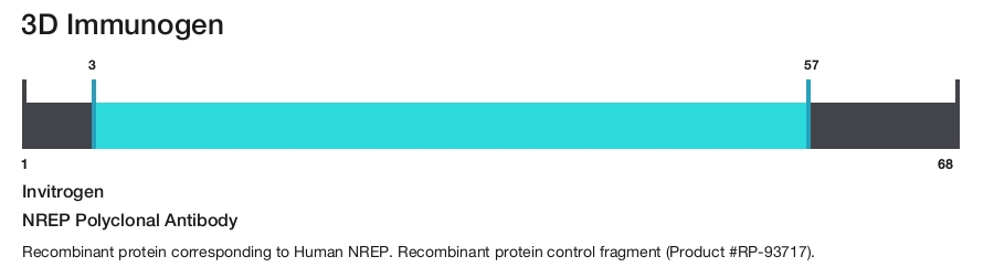 NREP Polyclonal Antibody