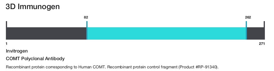 COMT Polyclonal Antibody