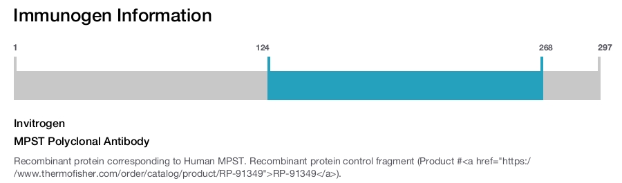 MPST Polyclonal Antibody