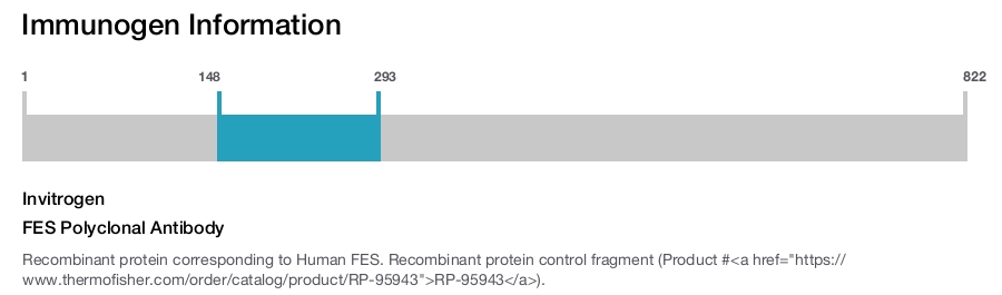 FES Polyclonal Antibody