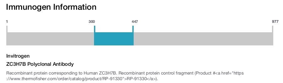 ZC3H7B Polyclonal Antibody