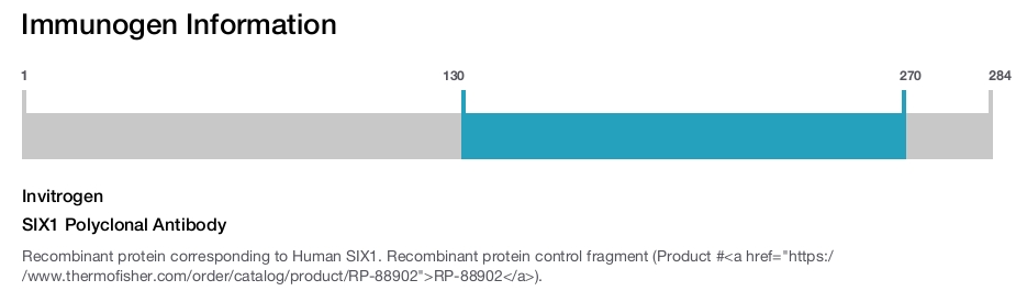 SIX1 Polyclonal Antibody