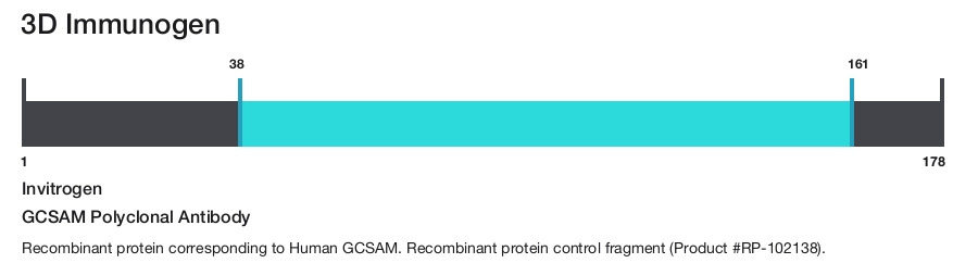 GCSAM Polyclonal Antibody