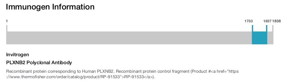 PLXNB2 Polyclonal Antibody