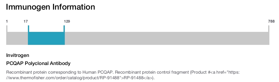 PCQAP Polyclonal Antibody