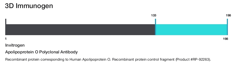 Apolipoprotein O Polyclonal Antibody