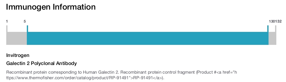 Galectin 2 Polyclonal Antibody