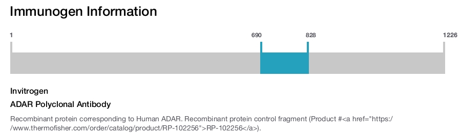 ADAR Polyclonal Antibody