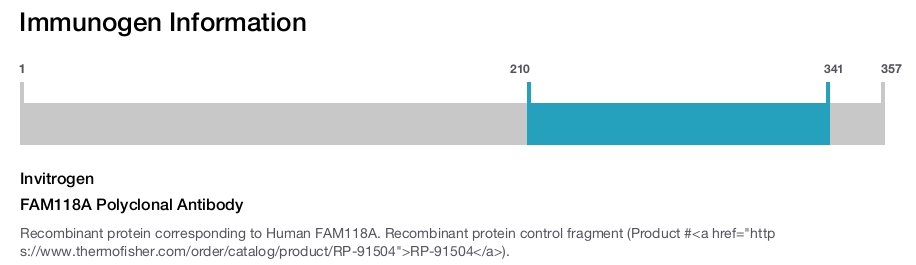 FAM118A Polyclonal Antibody