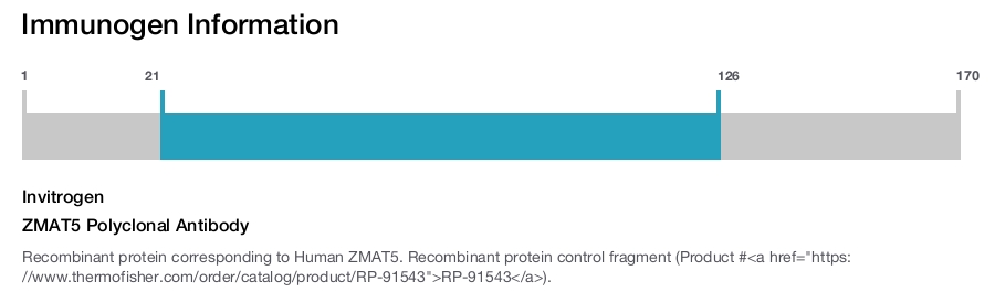 ZMAT5 Polyclonal Antibody
