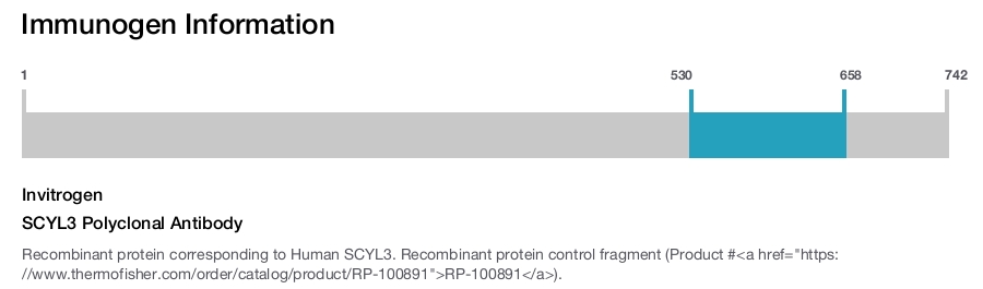 SCYL3 Polyclonal Antibody