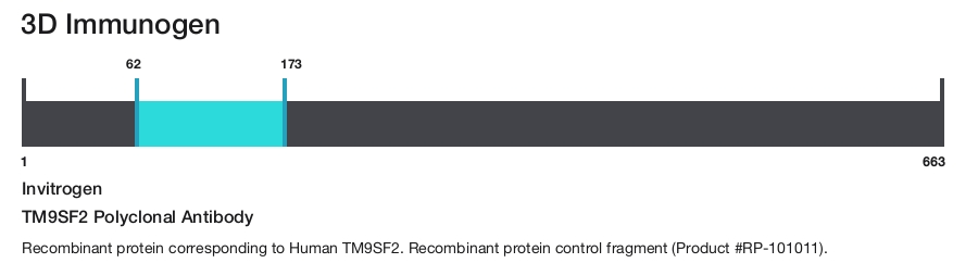 TM9SF2 Polyclonal Antibody