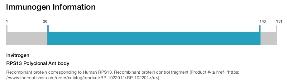RPS13 Polyclonal Antibody