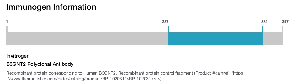 B3GNT2 Polyclonal Antibody
