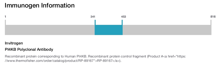 PI4KB Polyclonal Antibody