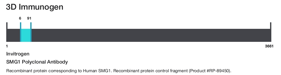 SMG1 Polyclonal Antibody