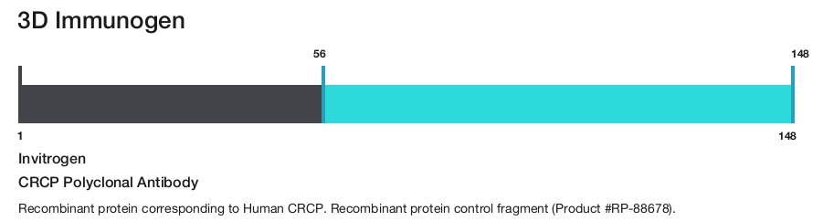 CRCP Polyclonal Antibody