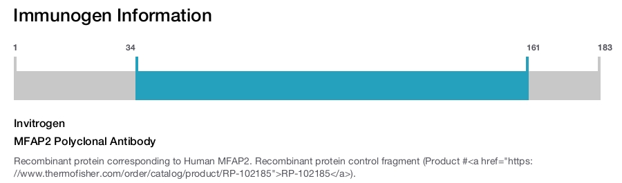 MFAP2 Polyclonal Antibody