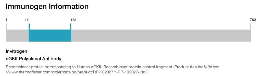 cGKII Polyclonal Antibody