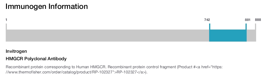 HMGCR Polyclonal Antibody