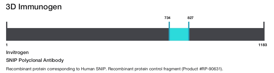 SNIP Polyclonal Antibody