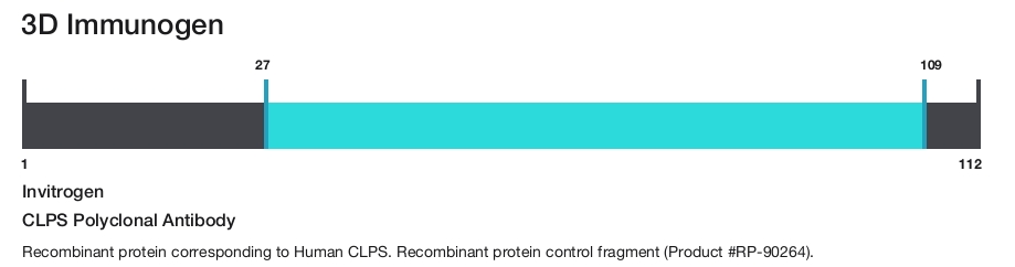 CLPS Polyclonal Antibody